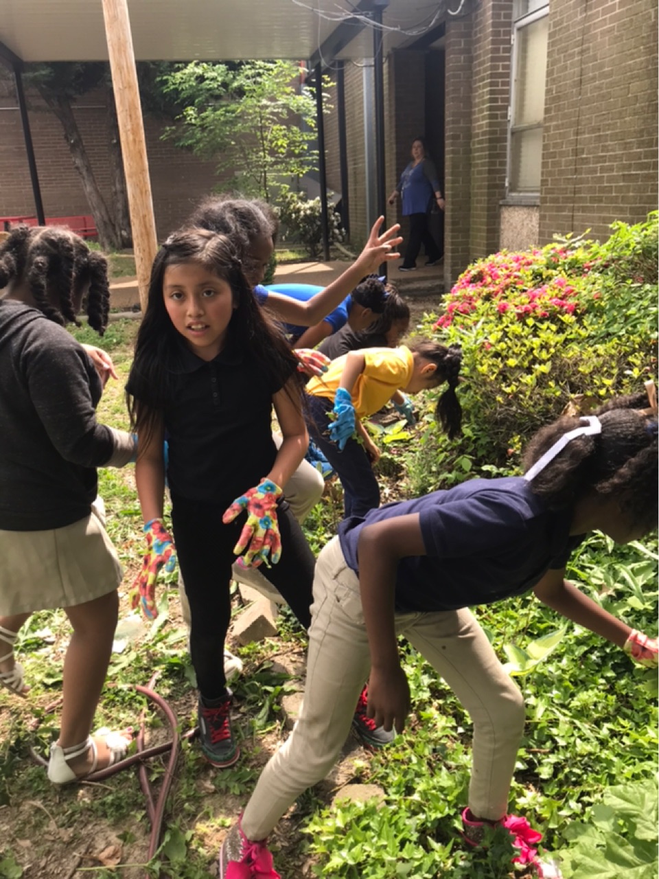 ESL Program/English Language Learners (ELL)